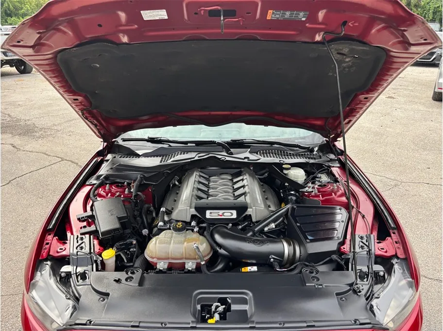 Ford Mustang photo 41