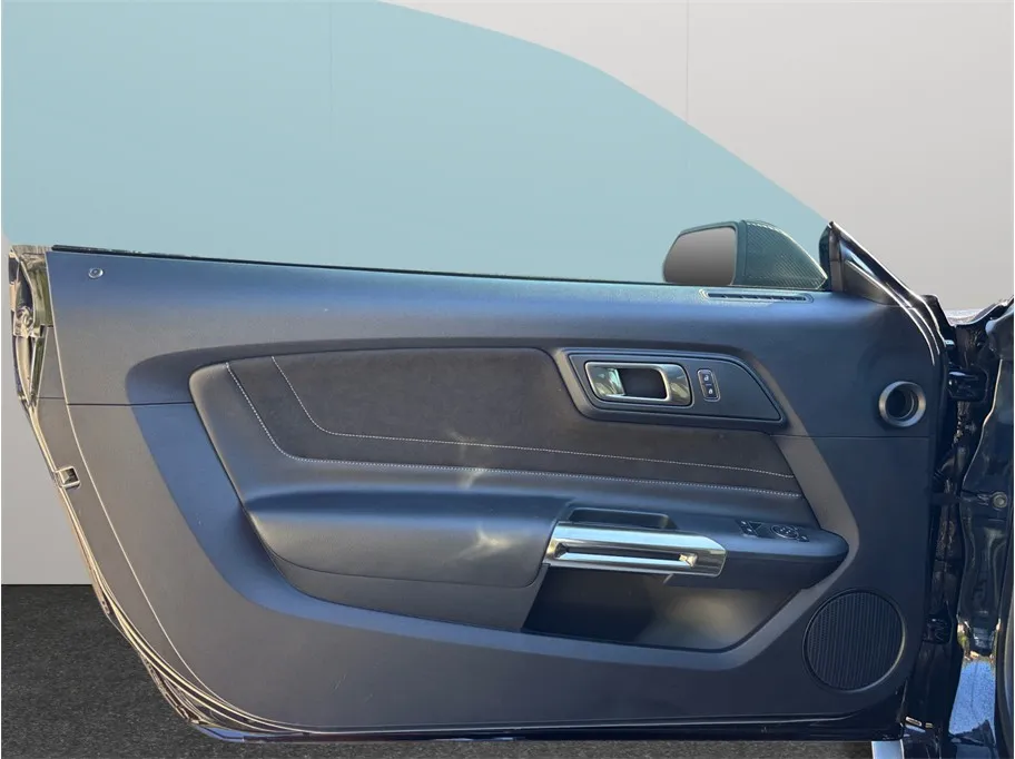 Ford Mustang photo 19