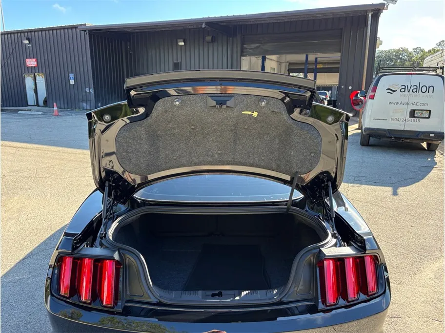 Ford Mustang photo 40