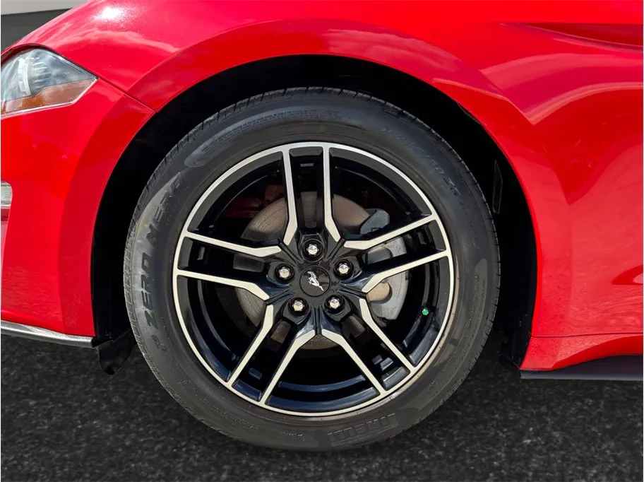 Ford Mustang photo 10