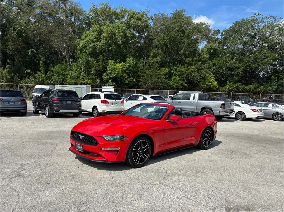 Ford Mustang photo 12
