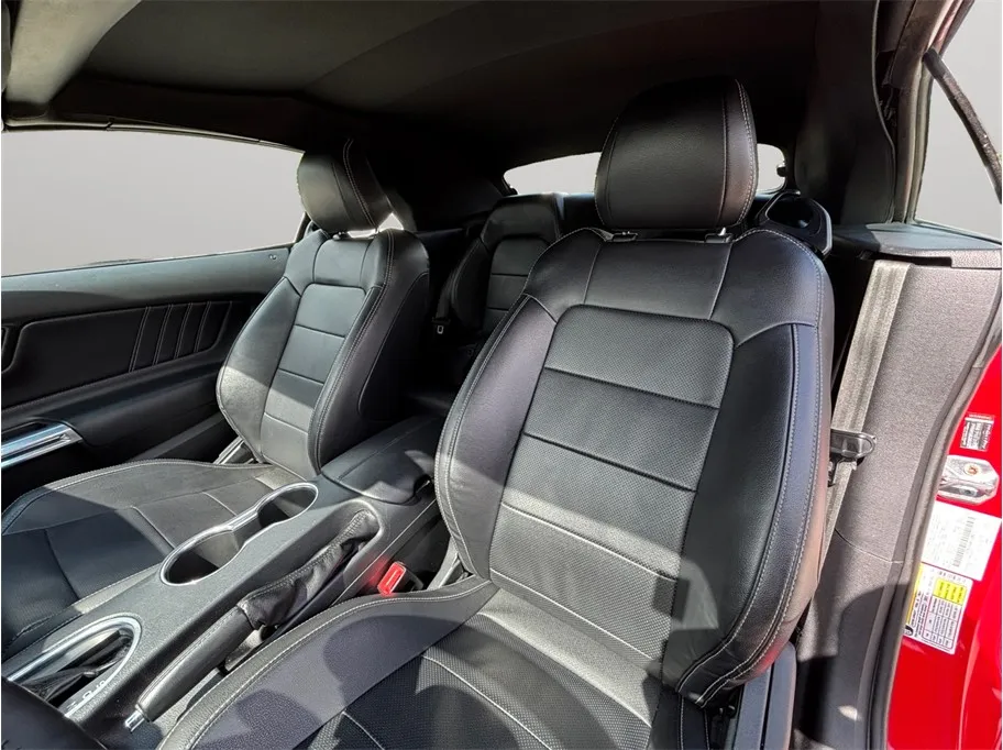 Ford Mustang photo 15