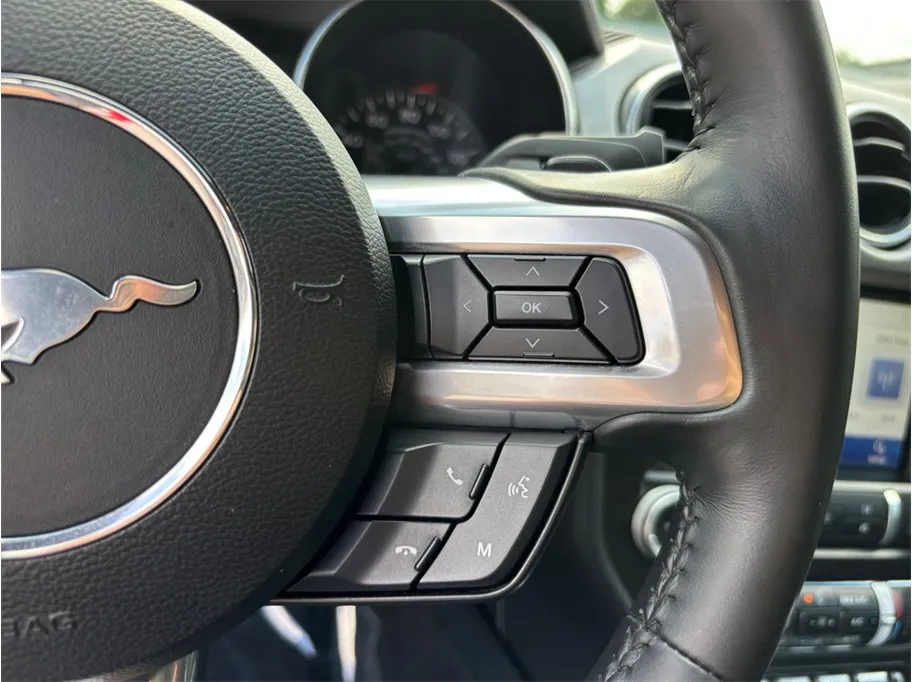 Ford Mustang photo 22