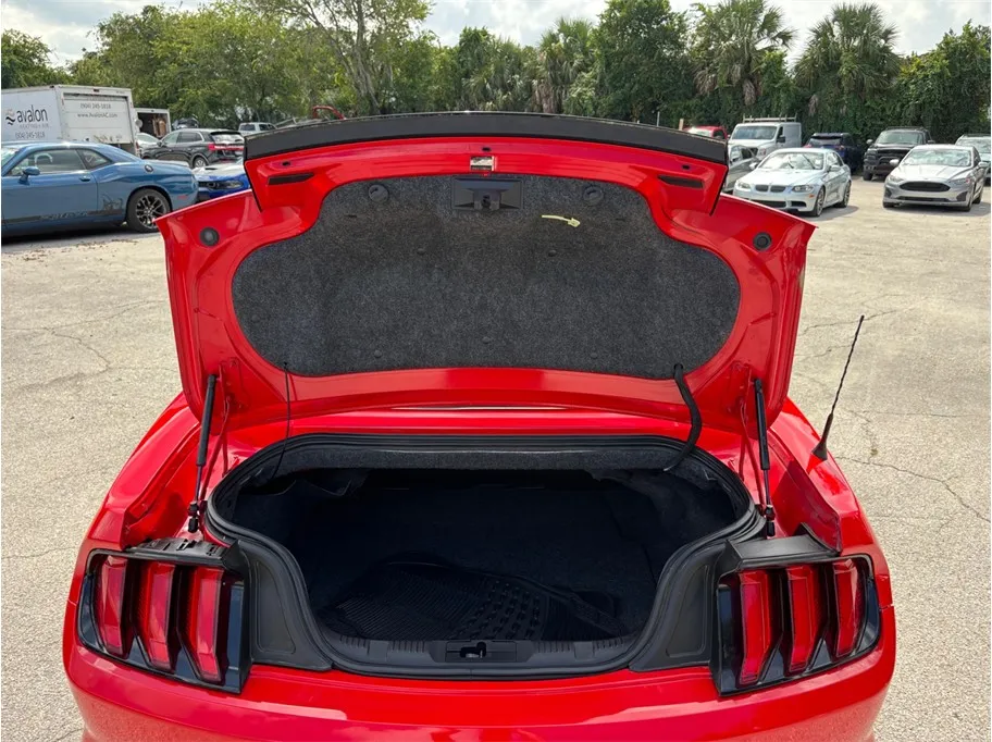 Ford Mustang photo 37