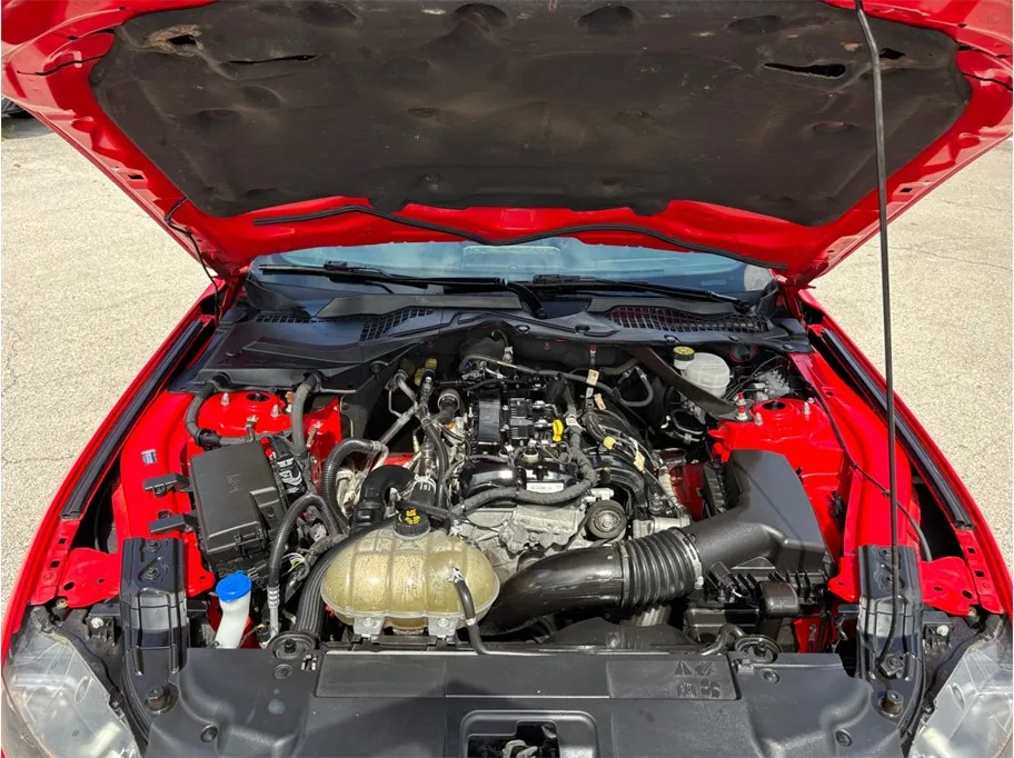 Ford Mustang photo 39