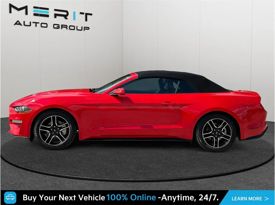 Ford Mustang photo 5