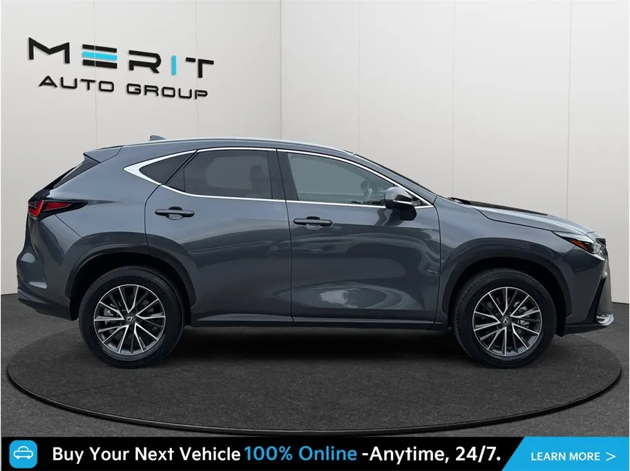 Lexus NX photo 10