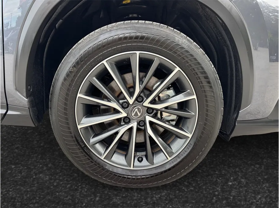 Lexus NX photo 13