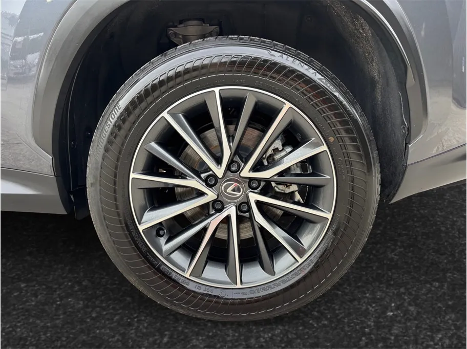 Lexus NX photo 14