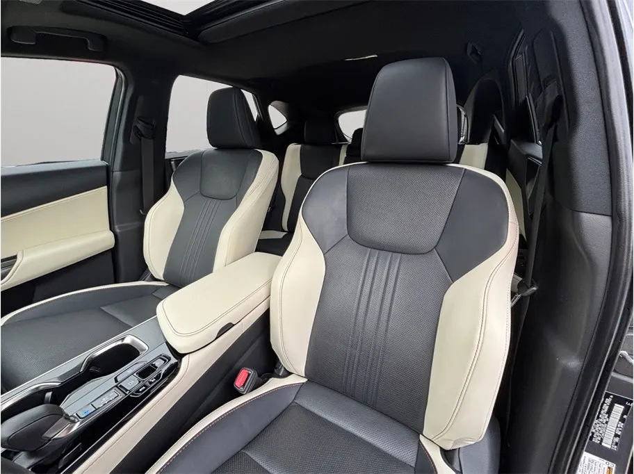 Lexus NX photo 17