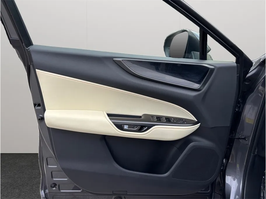 Lexus NX photo 19