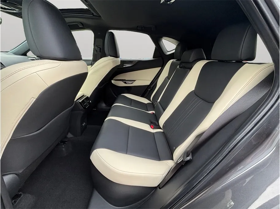 Lexus NX photo 35