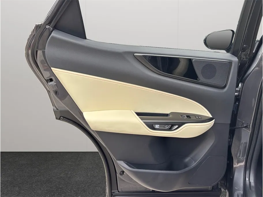 Lexus NX photo 36