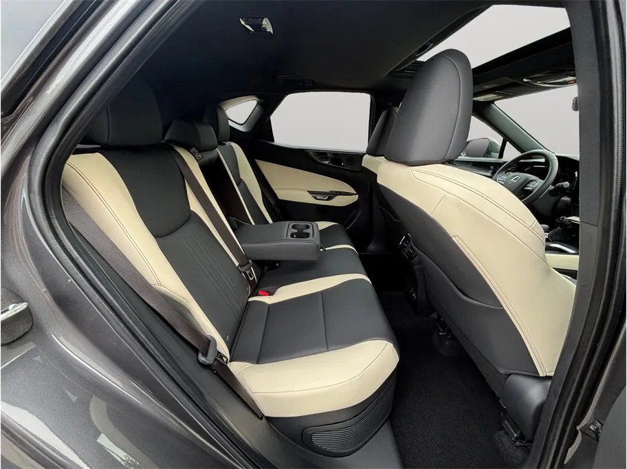 Lexus NX photo 39