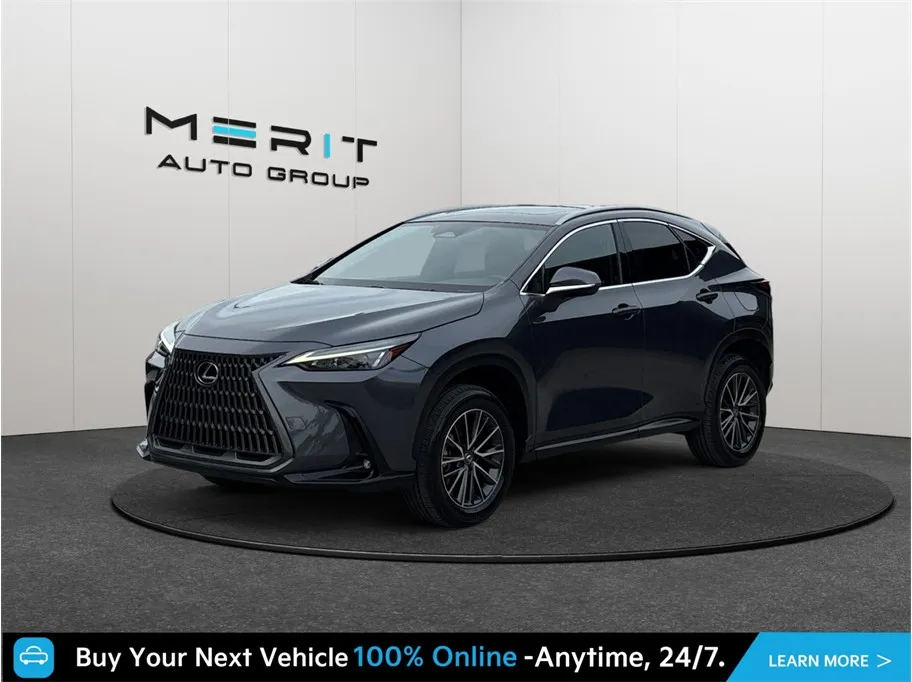 Lexus NX photo 4