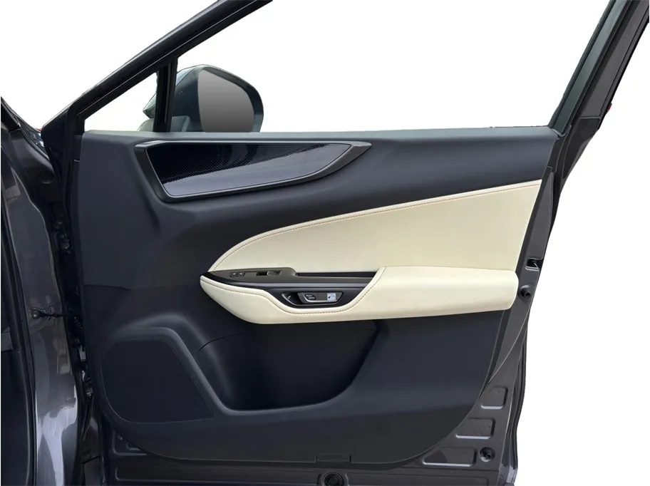Lexus NX photo 42
