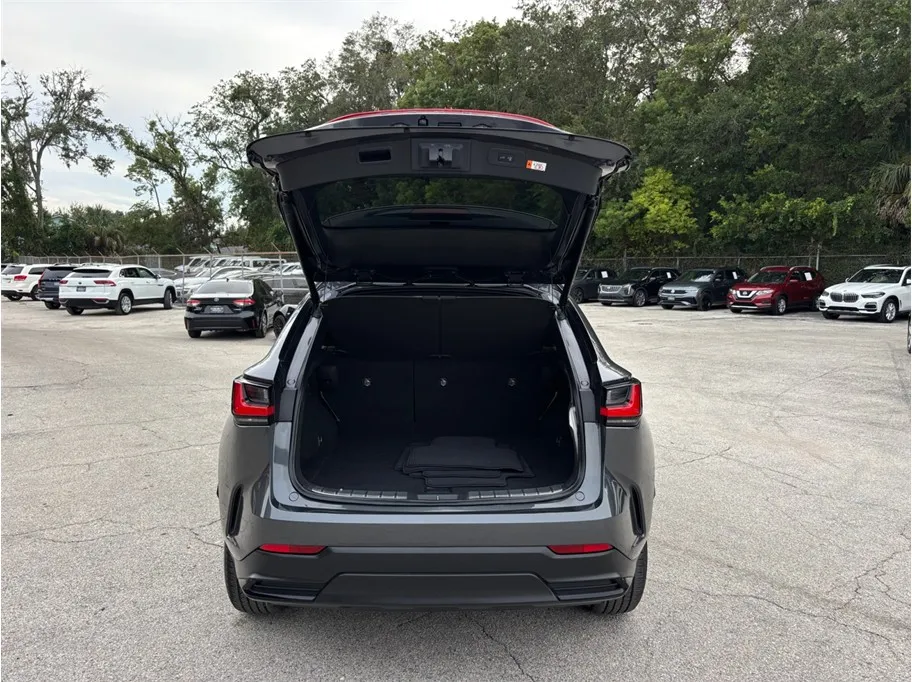 Lexus NX photo 44
