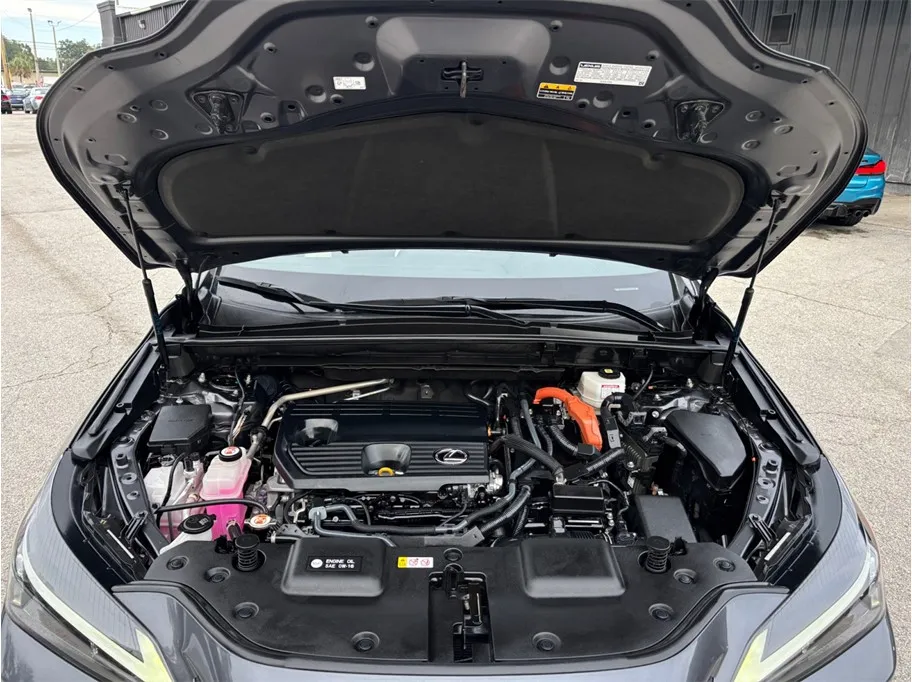 Lexus NX photo 47