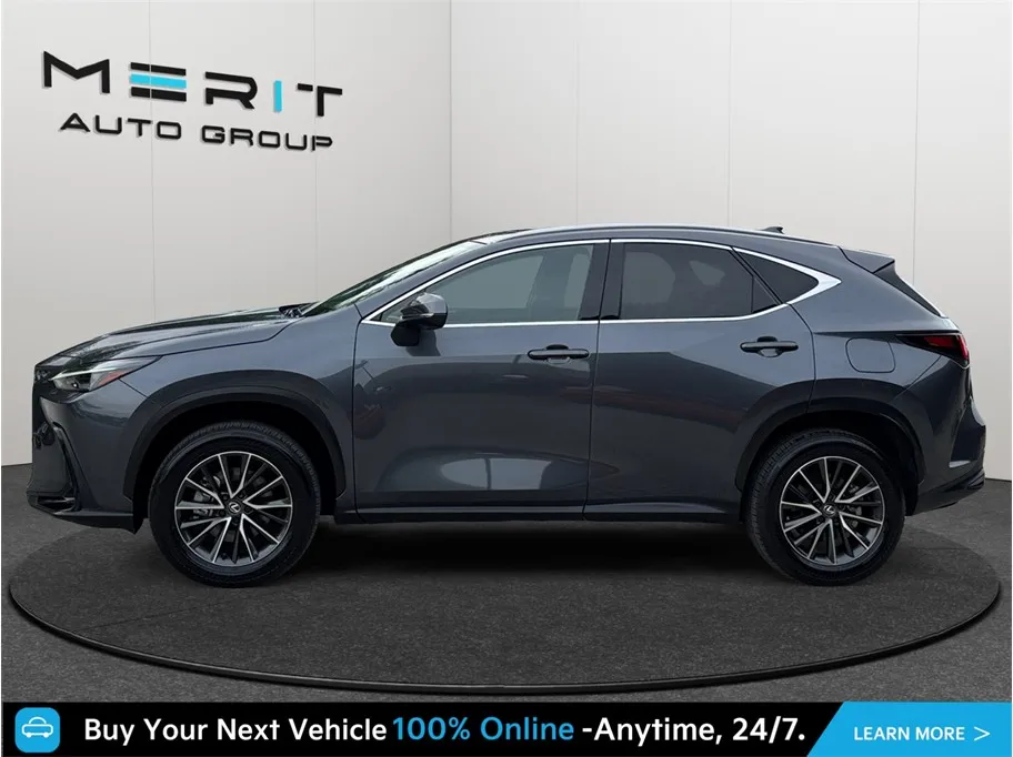 Lexus NX photo 5
