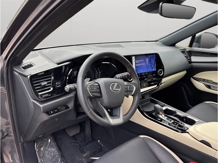 Lexus NX photo 6
