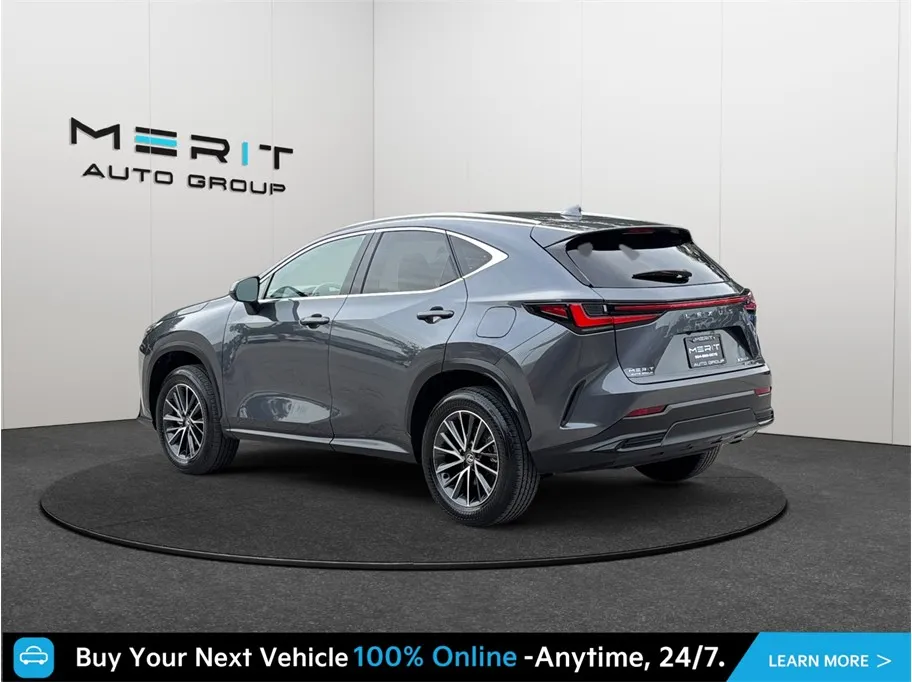 Lexus NX photo 7