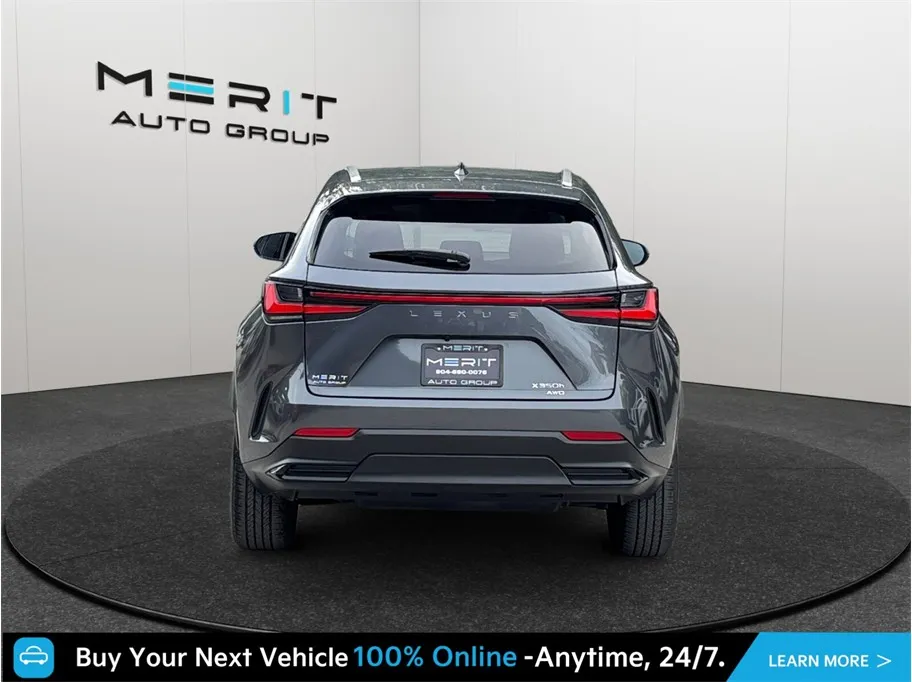 Lexus NX photo 8