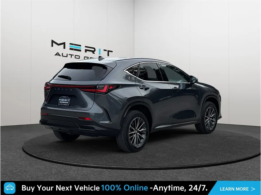 Lexus NX photo 9