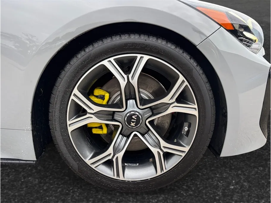 Kia Stinger photo 13