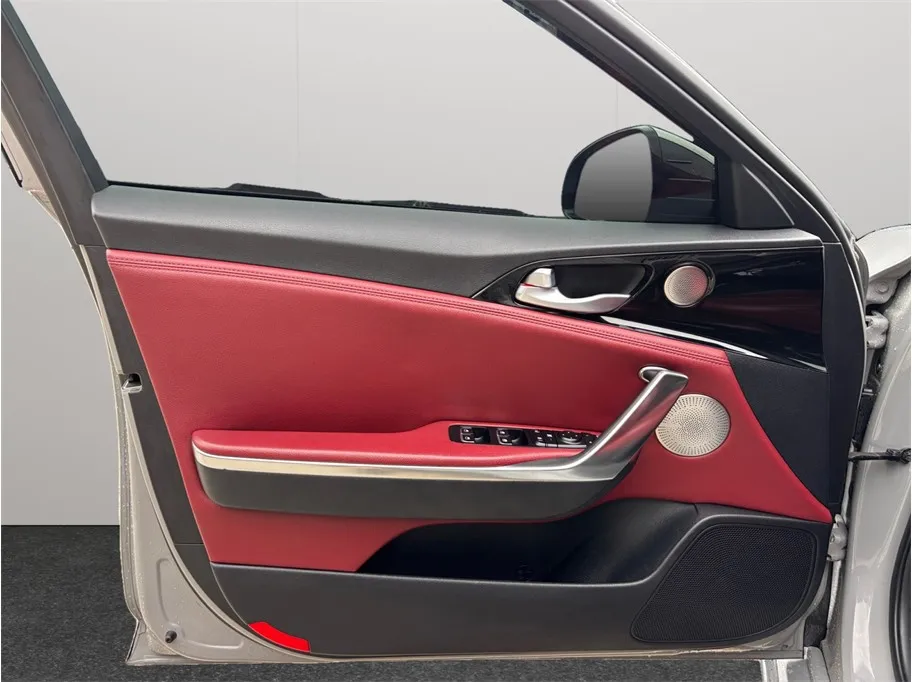 Kia Stinger photo 23