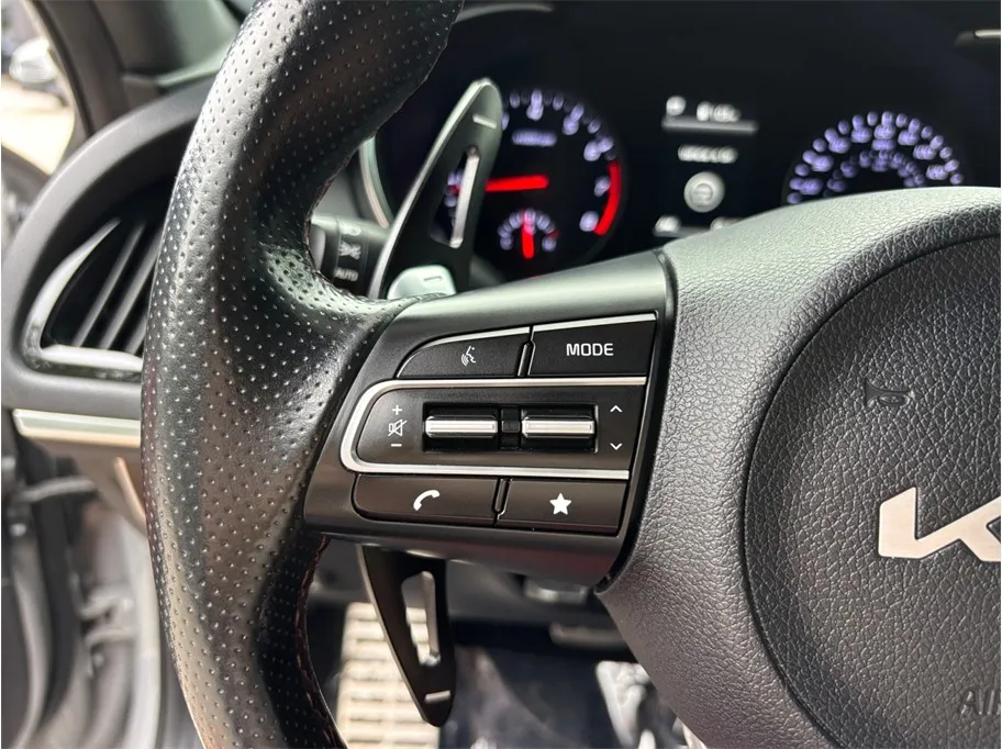 Kia Stinger photo 28