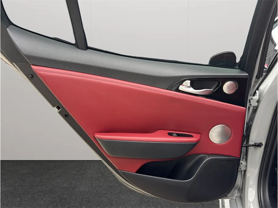 Kia Stinger photo 41