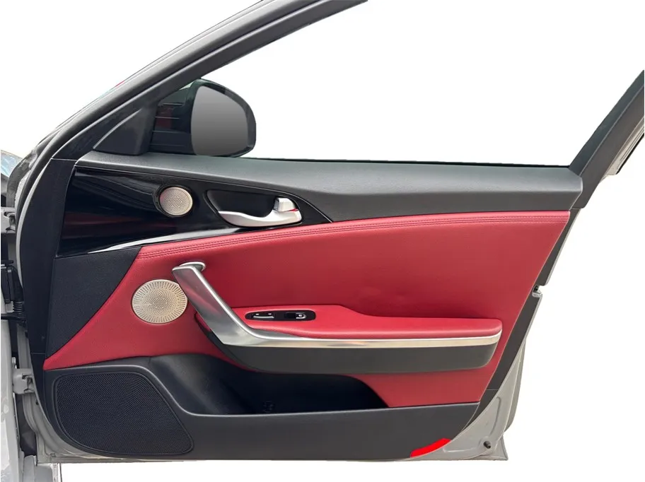 Kia Stinger photo 47