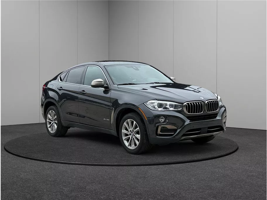 Used 2019 BMW X6 sDrive35i for sale in Jacksonville, FL at Merit Auto ...