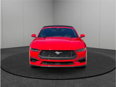 Another view of 2024 Ford Mustang EcoBoost Convertible 2D for sale in Jacksonville, FL at Merit Auto Group Atlantic