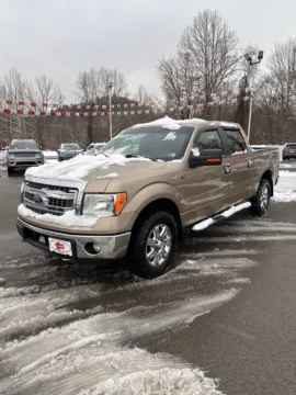 Gold 2013 Ford F-150 SuperCrew XLT 4x4 for sale in Buckhannon, WV