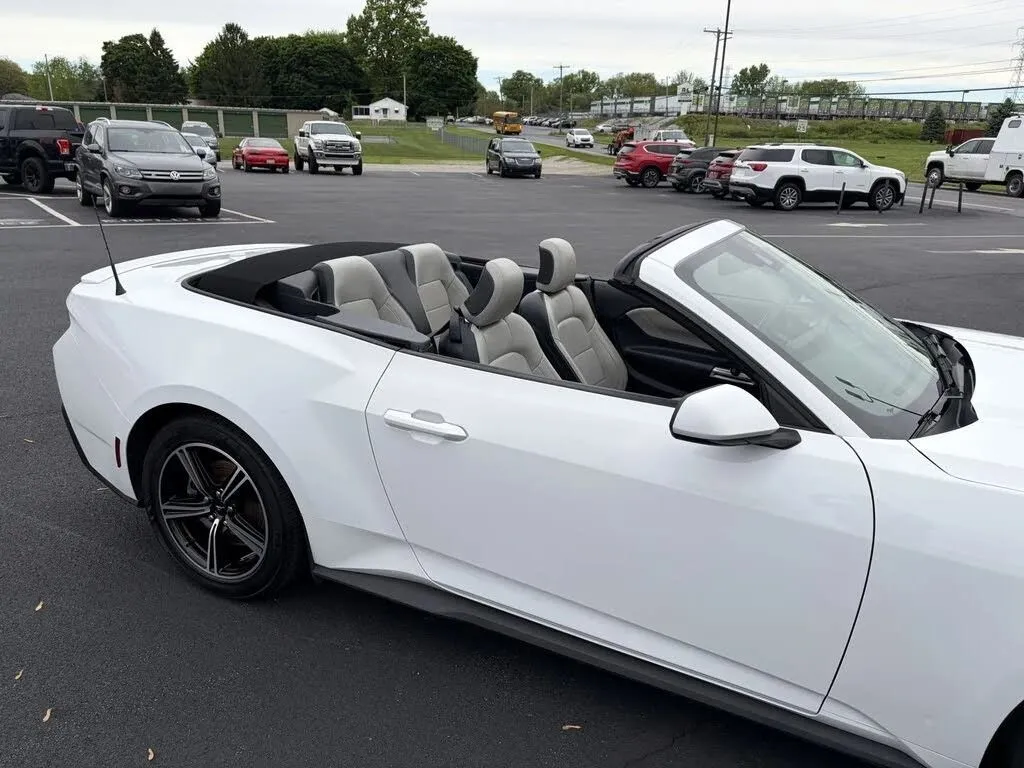 Ford Mustang photo 15
