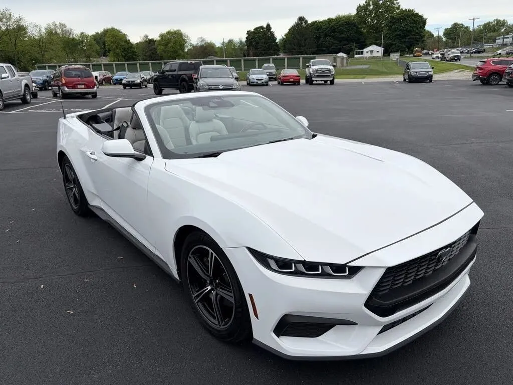 Ford Mustang photo 14