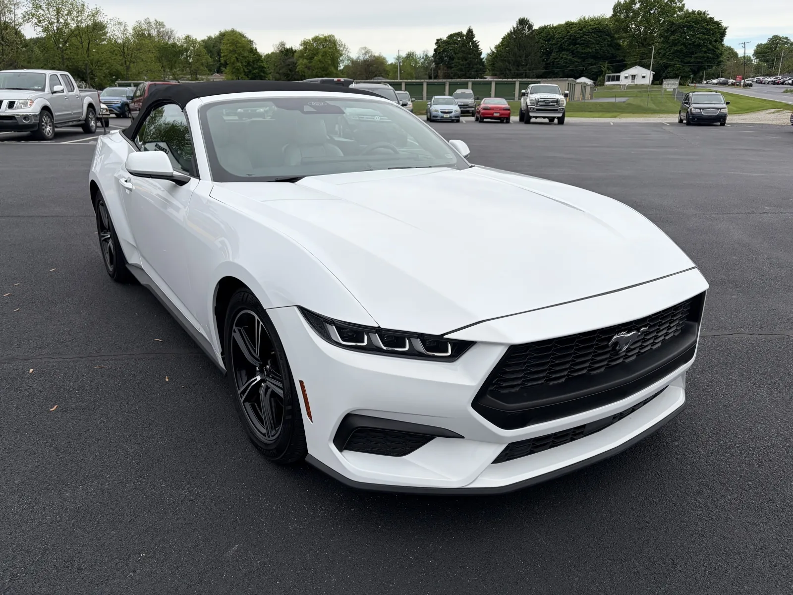 2024 Ford Mustang EcoBoost Premium Convertible's photo