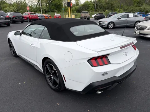 More photos of 2024 Ford Mustang EcoBoost Premium at Lebanon Auto Sales, PA