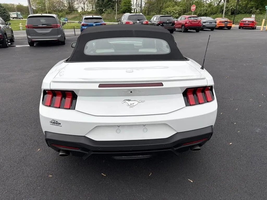 Ford Mustang photo 10