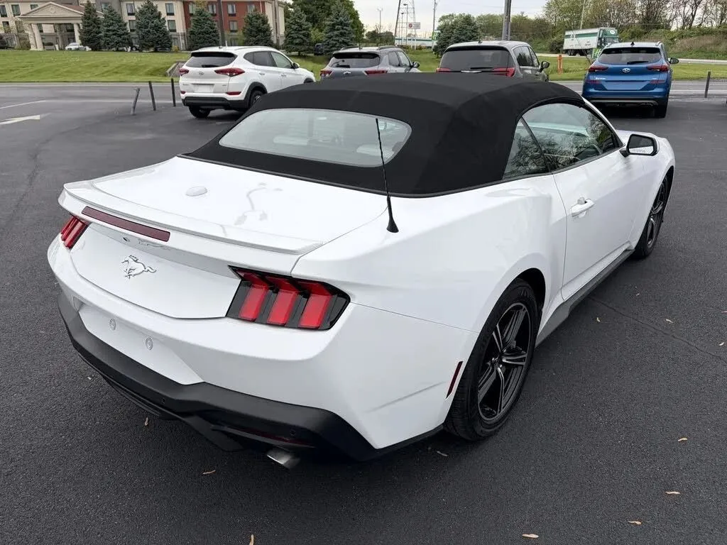 Ford Mustang photo 12