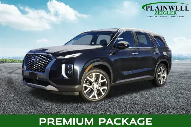 2021 Hyundai Palisade SEL for sale in Plainwell, MI