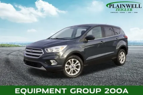 Green 2019 Ford Escape SE for sale in Plainwell, MI