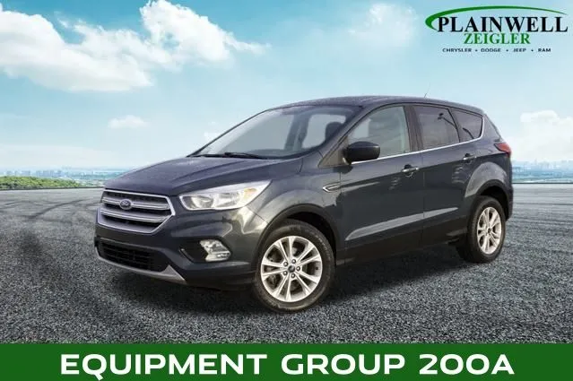 2019 Ford Escape SE for sale in Plainwell, MI