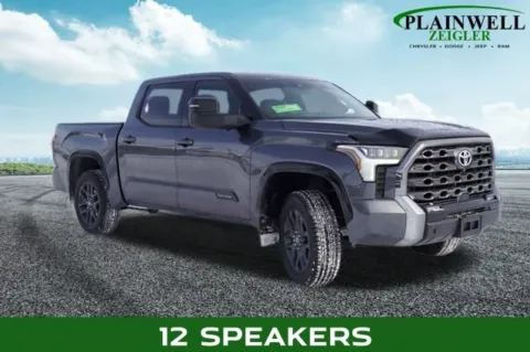 More photos of 2022 Toyota Tundra Platinum at Zeigler Chrysler Dodge Jeep Ram of Plainwell, MI