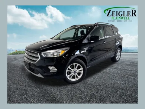 Black 2018 Ford Escape SE for sale in Plainwell, MI