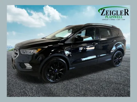 Black 2017 Ford Escape SE for sale in Plainwell, MI