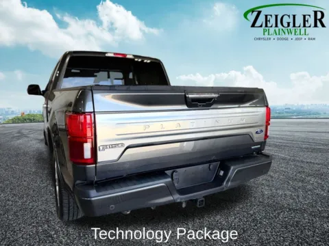 More photos of 2019 Ford F-150 Platinum at Zeigler Chrysler Dodge Jeep Ram of Plainwell, MI