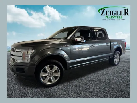 Gray 2019 Ford F-150 Platinum for sale in Plainwell, MI