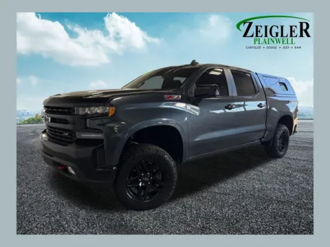 Gray 2020 Chevrolet Silverado 1500 LT Trail Boss for sale in Plainwell, MI